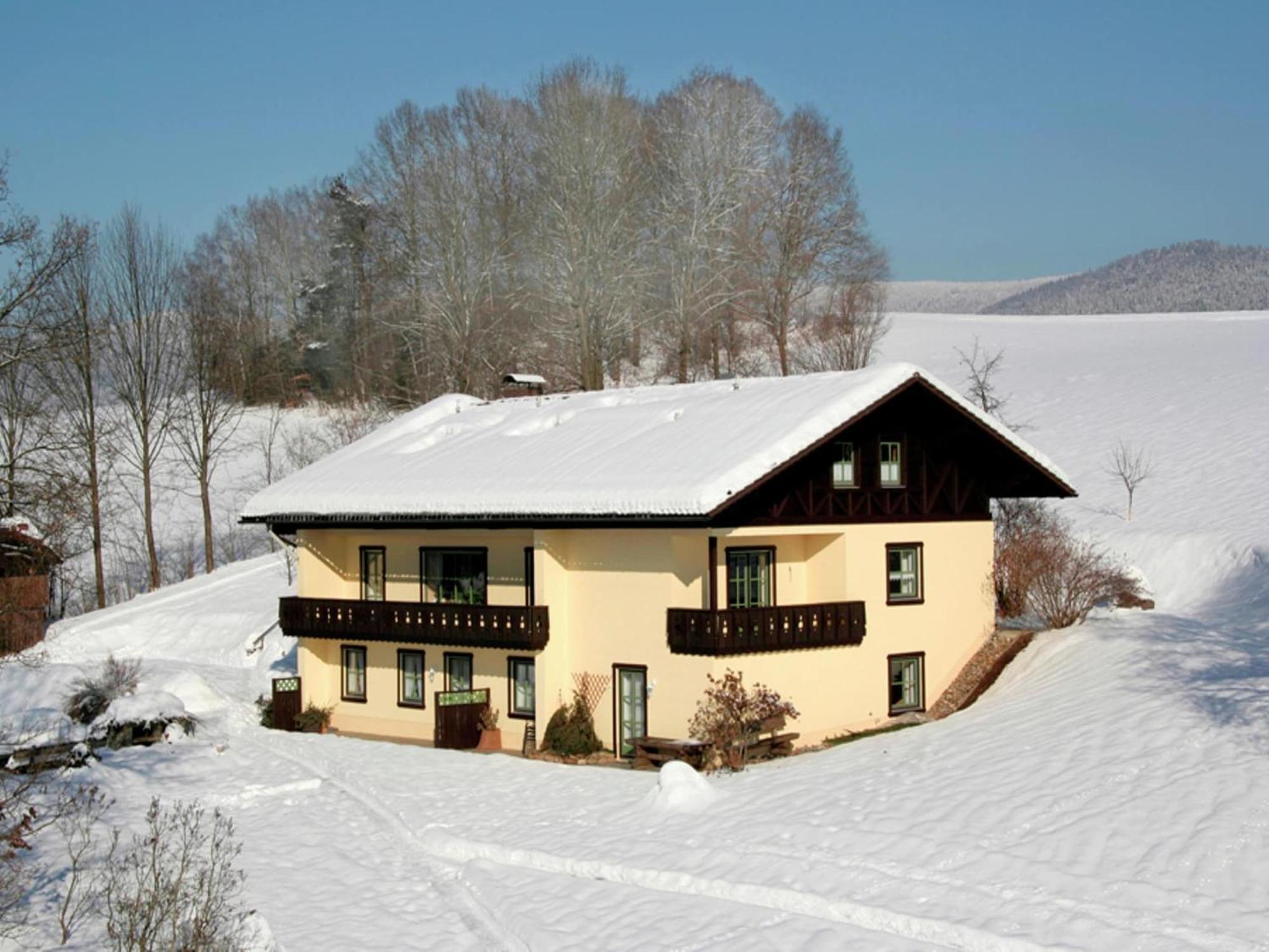 Spacious Apartment With Sauna Drachselsried Buitenkant foto